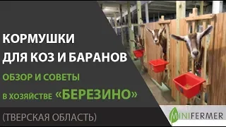 Кормушки для коз и баранов. Советы из хозяйства "Березино".