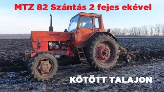 MTZ 82 Szántás kötött talajon / Ploughing