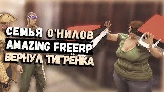 СЫН, СВАДЬБА, МЯСОВОЗКА | Amazing FreeRP | GTA 5 RP