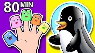 Finger Family Songs Collection | 80 Mins of Nursery Rhymes | Kindergarten Kids Learn by BusyBeavers