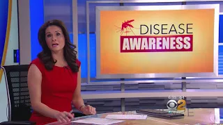 New Campaign About Mosquito-Borne Disease