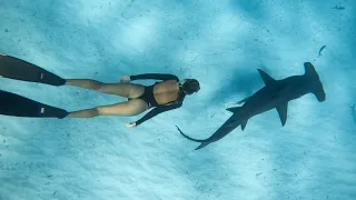It's TIME! This island has it ALL! SHARKS, stingrays, spearfishing, and...? [ep 66]