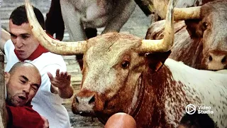 Энсьерро - опасная гонка с быками в Испании, 5 человек в больнице - Dangerous bull race in Spain