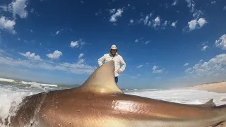 Massive Shark caught off Macassar beach...safely released!!! Good size Kob/Mulloway first cast on!!!