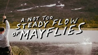 A Not Too Steady Flow Of Mayflies | Full Fly Fishing Film 2024