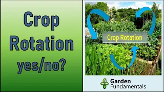 Crop Rotation 🏡 Does it Work in a Garden?