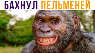 БАХНУЛ ПЕЛЬМЕНЕЙ))) Приколы | Мемозг #552