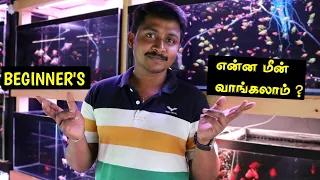 Beginner's என்ன மீன் வாங்கலாம் ? | Beginners Fish Guide | Cloning Aqua