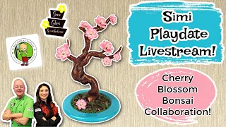 Simi Playdate Livestream: Cherry Blossom Bonsai Collaboration with Chef Nicholas Lodge!