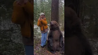 МЕДВЕДЬ ТАНЦУЕТ | ТАНЦУЮЩИЙ МИШКА | НОВОГОДНЕЕ ВИДЕО | ПРИКОЛЫ ИЗ ТИК ТОК | УГАРНОЕ ВИДЕО #shorts