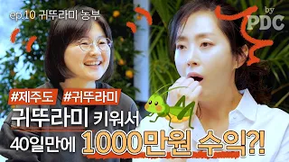 제주로 돌아와서 매일매일 행복해요 | #송윤아byPDC [ep.10 #귀뚜라미농부]