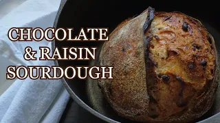 Chocolate and raisin sourdough bread