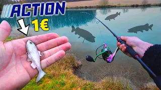 Je TESTE un LEURRE ACTION A 1€ dans un LAC REMPLI de BROCHET !