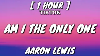 Aaron Lewis - Am I The Only One (Lyrics) [1 Hour Loop] [TikTok Song]