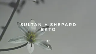 Sultan + Shepard - Ekto