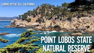 Point Lobos State Natural Reserve - Carmel, California