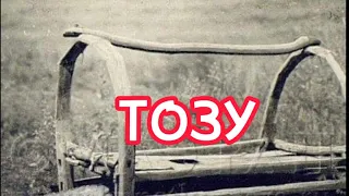 Тозу (1931 жыл) Момбек ӘБДӘКІМҰЛЫ