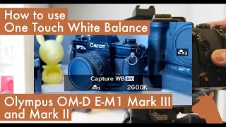 How to use One Touch White Balance on Olympus OM-D E-M1 Mark III and Olympus OM-D E-M1 Mark II