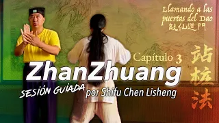 Wudang Qigong | ZHANZHUANG / Tree Hug Meditation - Guided by Shifu Chen Lisheng | Chapter 3