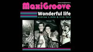 Maxigroove - Wonderful Life (Haaski Remix)