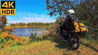 Solo motorcycle camping on the lake! I cooked a fillet of fish! Sounds of nature.