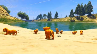 simba and kiara Family walking in street (gameplay GTA 5 the lion king mod 2024) 🦁