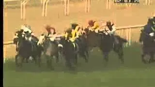 The McDowell Signature Indian Derby Gr 1