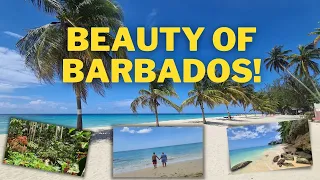 Barbados! Top places and beaches!