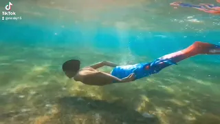 Merman Spotted 🧜‍♂️