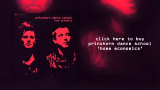 Prinzhorn Dance School "Clean" (Official Audio)