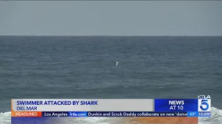 Shark attack rescuers speak out after saving SoCal victim