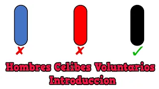 Hombres Celibes Voluntarios - Introduccion