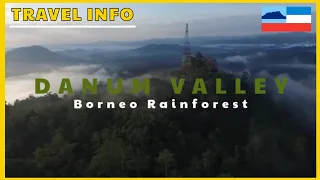 VLOG 130 - Borneo Rainforest Danum Valley