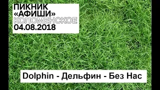 Пикник Афиши 2018 - Dolphin - Дельфин - Без Нас