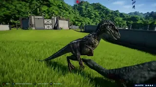 Jurassic world Evolution Battle Royale: part 1