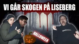 VI GÅR SKOGEN. (HALLOWEEN PÅ LISEBERG)