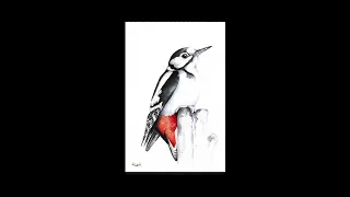 Woodpecker (Cosmo Sheldrake Nightjar mix)