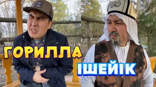 Дәріні Тамақ құсап жейсің Әле /// Күлкі Базар /// Кулки Базар