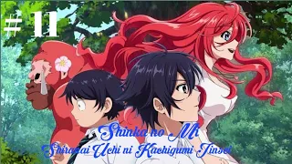 Shinka no Mi: Shiranai Uchi ni Kachigumi Jinsei Episode 11 (sub indo)