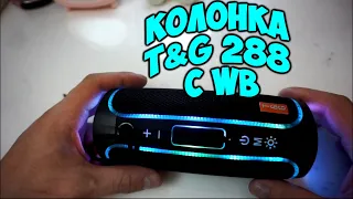 Блютуз Колонка T&G 288 С WB