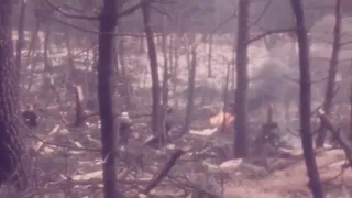 Ermenonville THY DC10 "Ankara" crash original video/TK-981