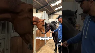 horses saying goodbye for the last time!! 💔🥹 #equestrian #viral #edit #youtube #horse