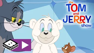 Tom & Jerry | Baby isbjørn | Boomerang Danmark