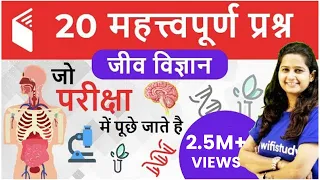 20 महत्वपूर्ण प्रश्न - Human Body System (मानव शरीर प्रणाली)