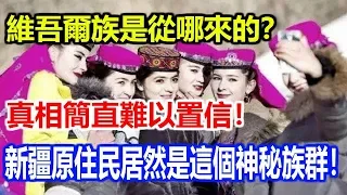 維吾爾族是從哪來的？真相簡直難以置信！新疆原住民居然是這個神秘族群！