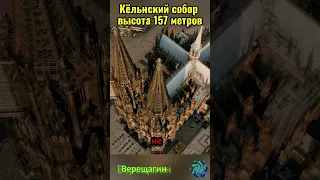 600 лет на стройку? #идеи #верещагин_одесса #истории_события #счастье_собака  #joke absurdity