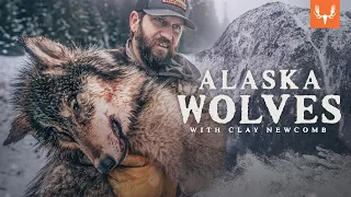 Alaska Wolf Management with Clay Newcomb