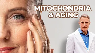 Mitochondria & Aging -   FORD BREWER