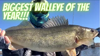 BIGGEST WALLEYE of the YEAR Thus FAR!!! Fox River De Pere, Wisconsin