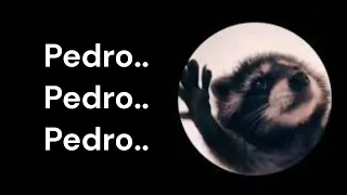 Pedro Pedro Pedro - Racoon Meme Music